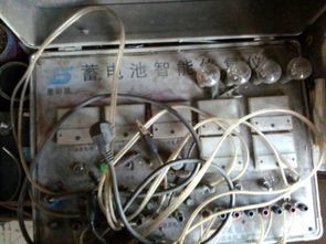 電動車干電瓶修復與保養指南